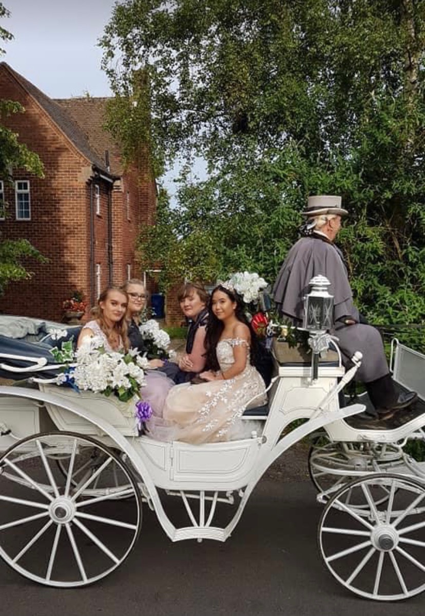 Wedding Horse and Carriage ride